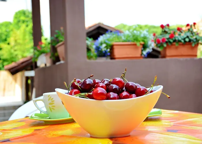 Gabi 1 Apartment Zadar