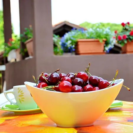 Gabi 1 Lejlighed Zadar